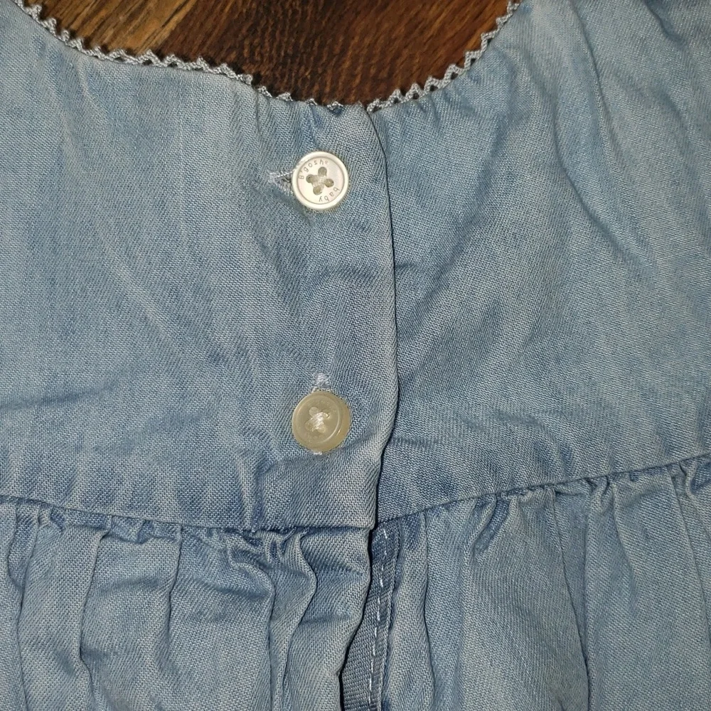 Baby B'Gosh Blue Chambray Sleeveless Floral Embroidered Dress, Size 24M